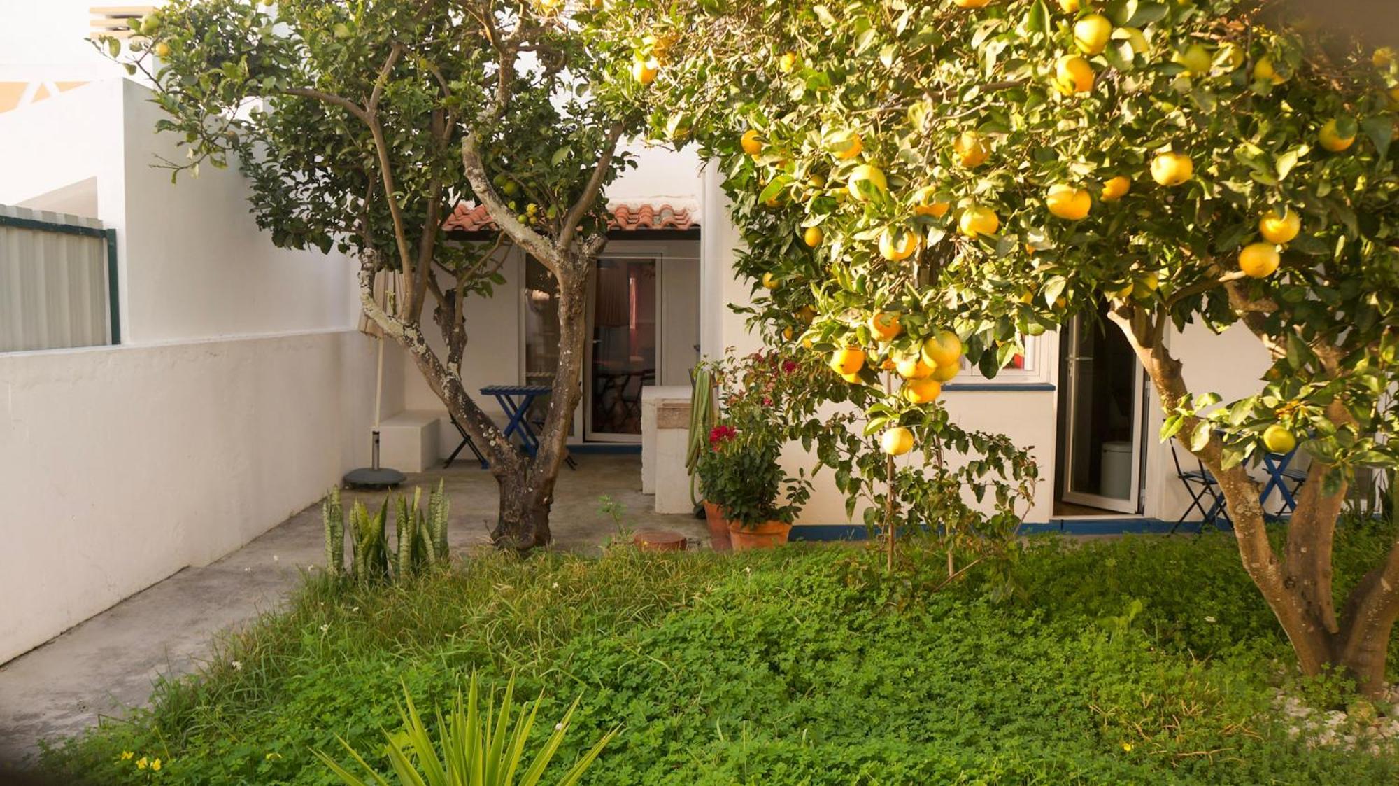 Lemon Tree House By Stay In Alentejo Vila Nova de Milfontes Exterior foto
